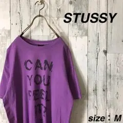希少 レアカラー STUSSY ライトパープルカラー Tシャツ