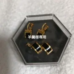 イアリング•ペンダントトップセット