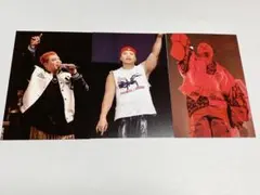 LIKIYA ポストカード セット