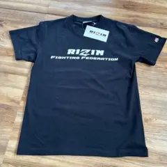 Item thumbnail for item 00397a9a-3f87-4356-8e19-52db41340dae