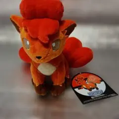 ポケモンセンター キャンバス ぬいぐるみ ロコン タグ付き - メルカリ