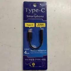 Type-C to 3.5mm Audio Adapter