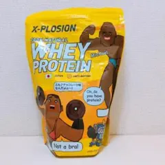 ミルクチョコレート 1kg エクスプロージョン ホエイプロテイン イエロー