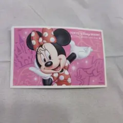 東京ディズニーリゾート 使用済み入場券チケット♡ミニーちゃん♡
