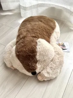 Dr.マーモットまもちおもプクのぺたーん＆マモ相撲XL 約50cm 動物 4種
