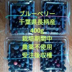 ブルーベリー(千葉県長柄産)400gのサムネイル