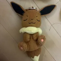 ポケモン ぬいぐるみセット 3体