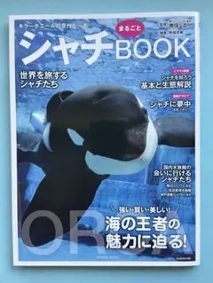 Item thumbnail for item 454d5e7f-f1c8-4b12-b729-a3bbd94c273a