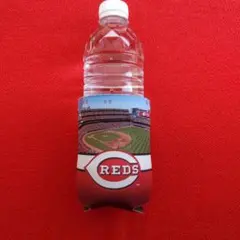 Item thumbnail for item 826cc7d8-e08a-4586-a715-ab6bdcf00832