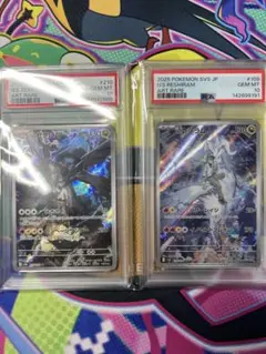 兩張套裝 PSA10 N的捷克羅姆 萊希拉姆 AR