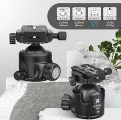 Item thumbnail for item 6308d3ac-eeab-456b-978e-146f20007d11