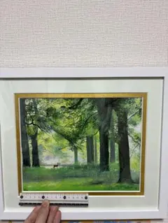 ジョン・ラッテンベリー シルクスクリーン 版画 額装品 - メルカリ