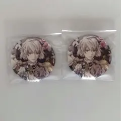 アイナナ アイドリッシュセブン expo エキスポ 缶バッジ 棗巳波