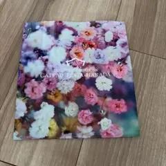 Item thumbnail for item 4c91f035-f50d-4a70-b161-7dc22120675a