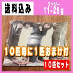 【即購入OK！】国産冷凍ラットホッパーM20匹入@地域限定 冷凍ラット ホッパーS (25-35g) 10匹＋1匹オマケ付き - メルカリ