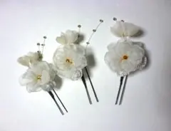 Item thumbnail for item b5406f13-b878-4c0d-8575-4e3c49977e5f