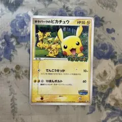 ポケパークのピカチュウ PROMO PCG-Pプロモカード 043/PCG-P - メルカリ