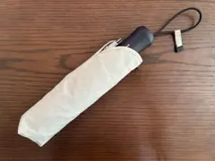 Item thumbnail for item 665dd15e-5a83-444e-8279-3720826dc42c