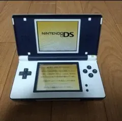 nintendo ds lite