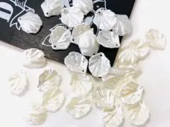 Item thumbnail for item 8512d9af-82a3-4239-a71d-bbd66f87cc8d