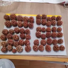 モミジバウフの実　天然素材