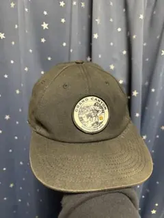 い*き様 AMERICAN NEEDLE : ALPINE CAP