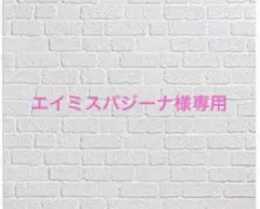 エイミスバジーナ様専用 審問官テオドア・オラニエと孤狼の騎士 他