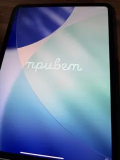 2025年最新】iPad Pro m4 セルラー 11インチの人気アイテム