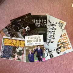 長嶋さん松井さん国民栄誉賞小冊子&クリアファイル6枚セット