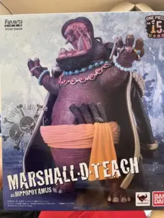 2025年最新】ティーチ カバの人気アイテム - メルカリ