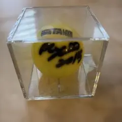 浜崎あゆみ サインボール ケース付き