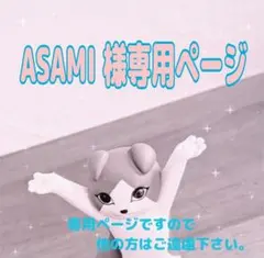 ASAMI 様専用ページ