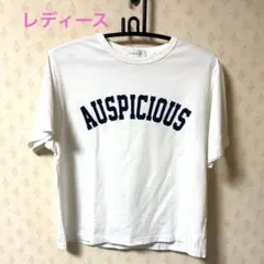 レディース　Tシャツのサムネイル