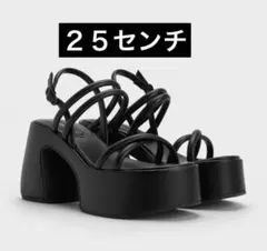 CHARLES＆KEITH Nerissa プラットフォームサンダルBlackのサムネイル