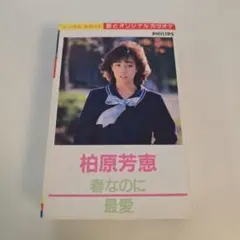 柏原芳恵25周年記念BOX - メルカリ