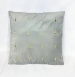 ▲廃番▲　KARE　カレ　45x45cm　クッション　アンツ　蟻　グレー