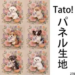 Tato !(=^・^=)パネル生地 水晶玉と花に囲まれた子犬 D278