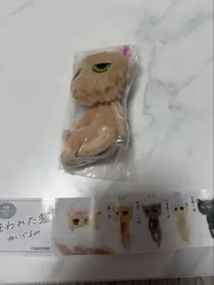 洗われた猫　ぬいぐるみ