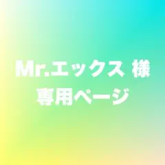 Mr.エックス様 専用ページのサムネイル
