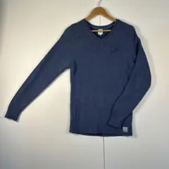 GAP Vネックニットセーター 青