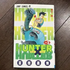 HUNTER×HUNTER ハンターズ・ガイド 初版・帯・ジャンパラ付き - メルカリ