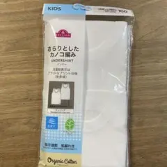 Item thumbnail for item 8273e8ee-77d5-455a-ab4b-dd425eb3ca64