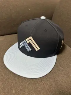 2025年最新】北海道日本ハムファイターズ リーグ名/大会名：パ