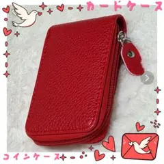 大量容❣️ レディース パスケース 定期入れ カード入れ　コイン入れ　通勤　通学