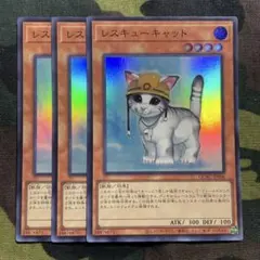 レスキューキャット