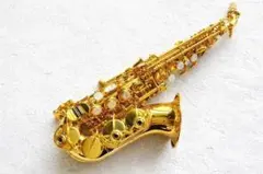 【今月限定新品】カーブドソプラノサックス 唯一無二の音色！動画あり 今月限定新品】カーブドソプラノサックス 唯一無二の音色！動画あり