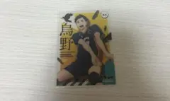 ハイキュー 縁下力 カード