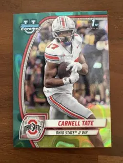 Item thumbnail for item 10d3c5f4-4461-433e-b2c1-a82950b5b85b