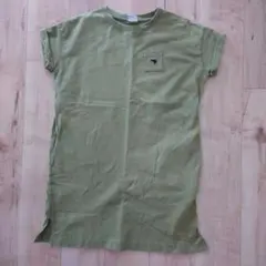 canterbury オリーブグリーン 半袖Tシャツ