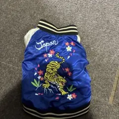 Item thumbnail for item c9fb5684-d603-4b27-8081-088ea873848e